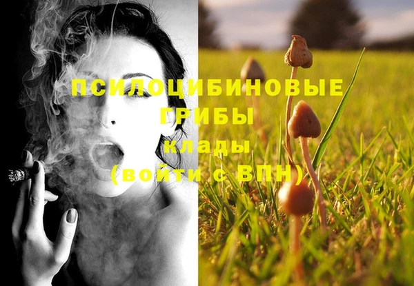 метадон Бородино